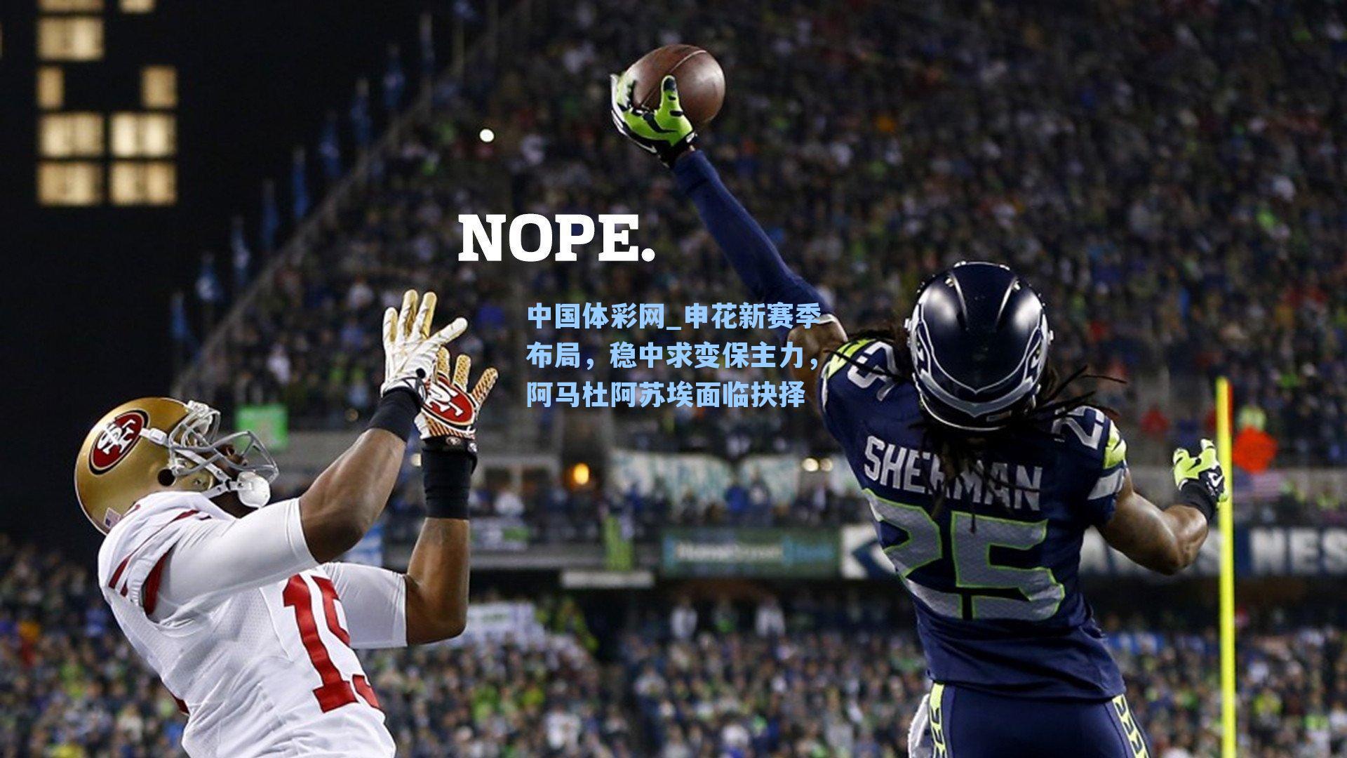 申花新赛季布局，稳中求变保主力，阿马杜阿苏埃面临抉择